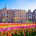 Полезные советы по поиску работы в Нидерландах