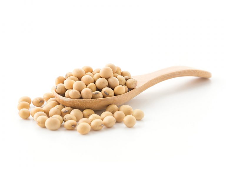 Причини купити перевірене насіння сої на посів