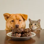 Які зоотовари найчастіше купують онлайн